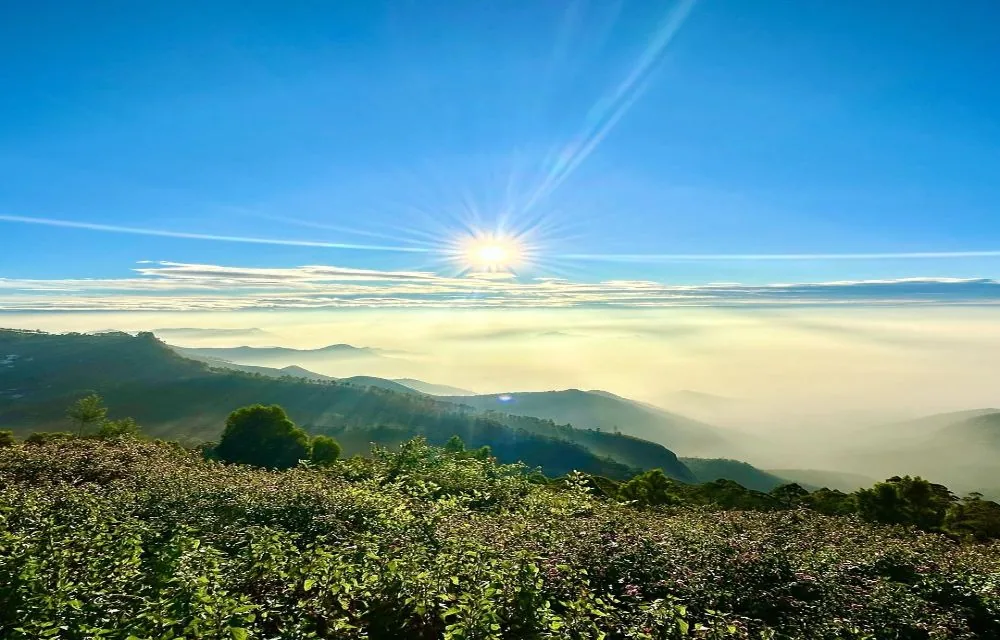 Coakers Walk - Kodaikanal