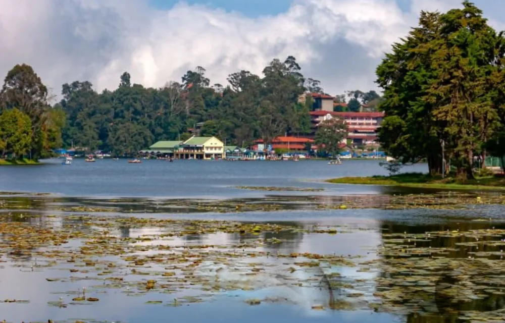 Kodaikanal Lake at dusk